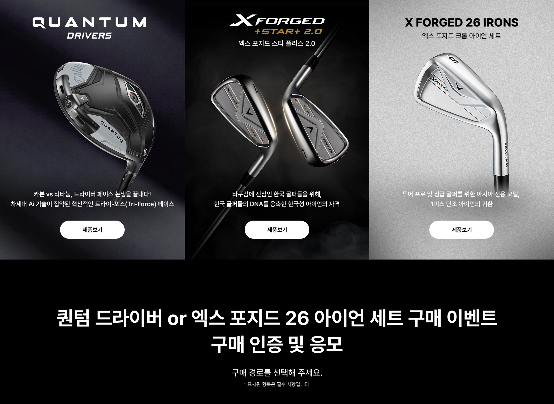 퀀텀 드라이버 & 엑스 포지드 아이언